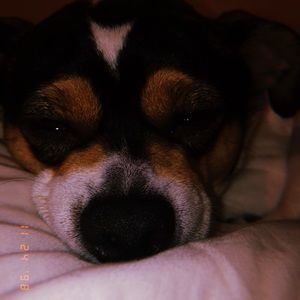 Meet your Posher, Norah